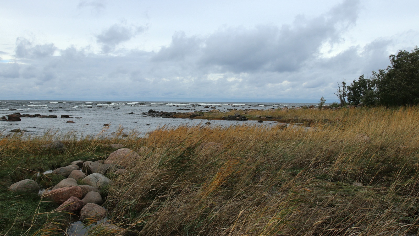 Каравалдай, image of landscape/habitat.