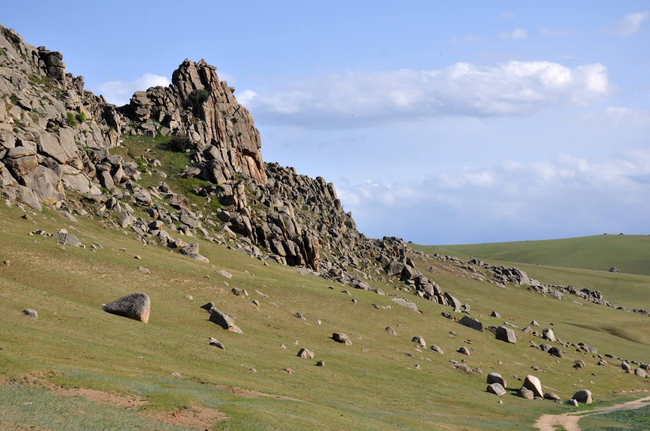 Долина реки Орхон, image of landscape/habitat.