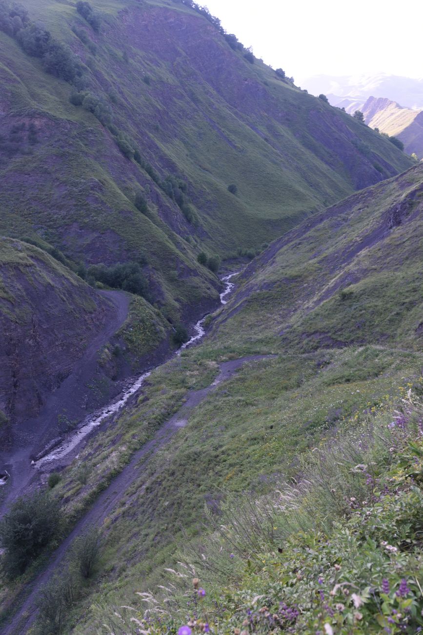 Долина реки Шикаройакх, image of landscape/habitat.