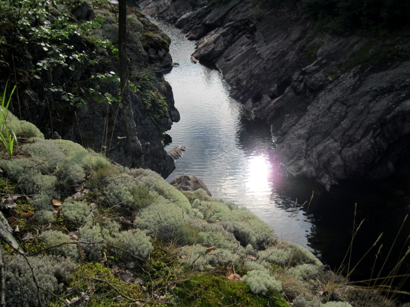 Иматра, image of landscape/habitat.