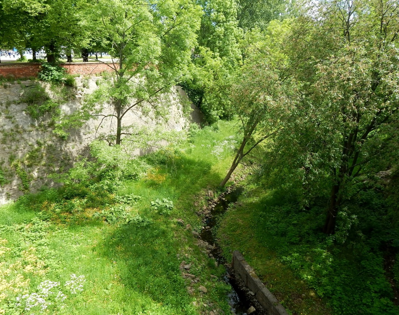 Кронштадт и окрестности, image of landscape/habitat.