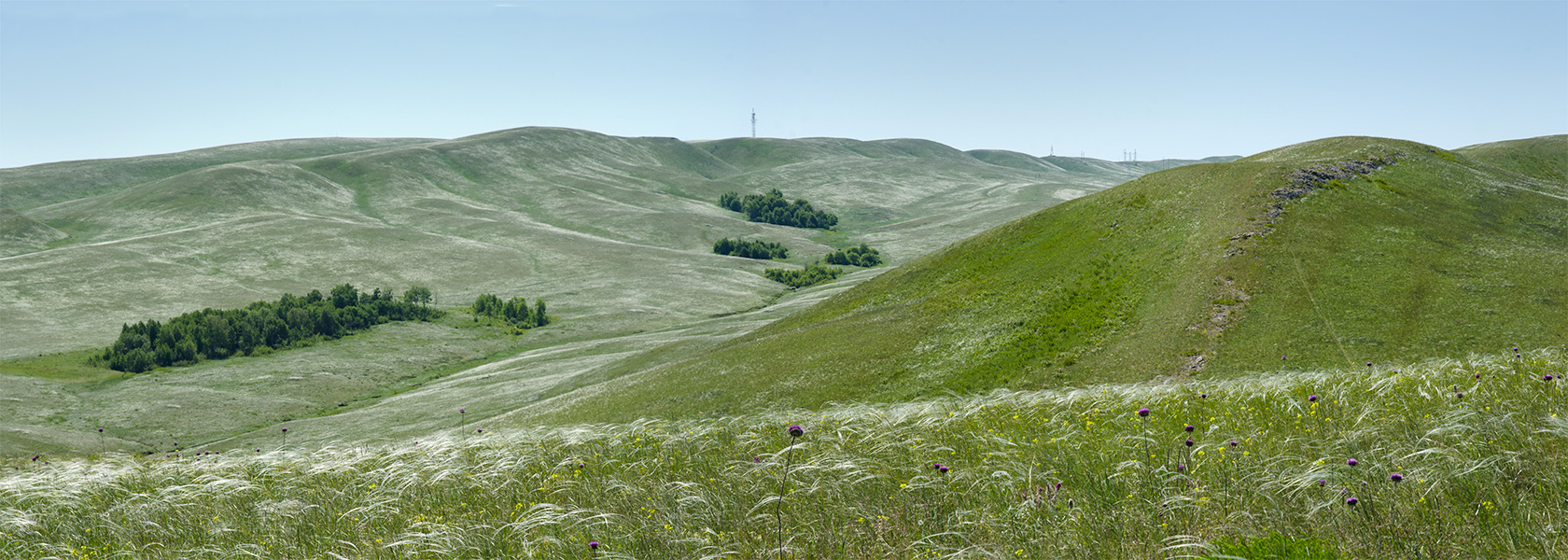 Ногайские горы, image of landscape/habitat.