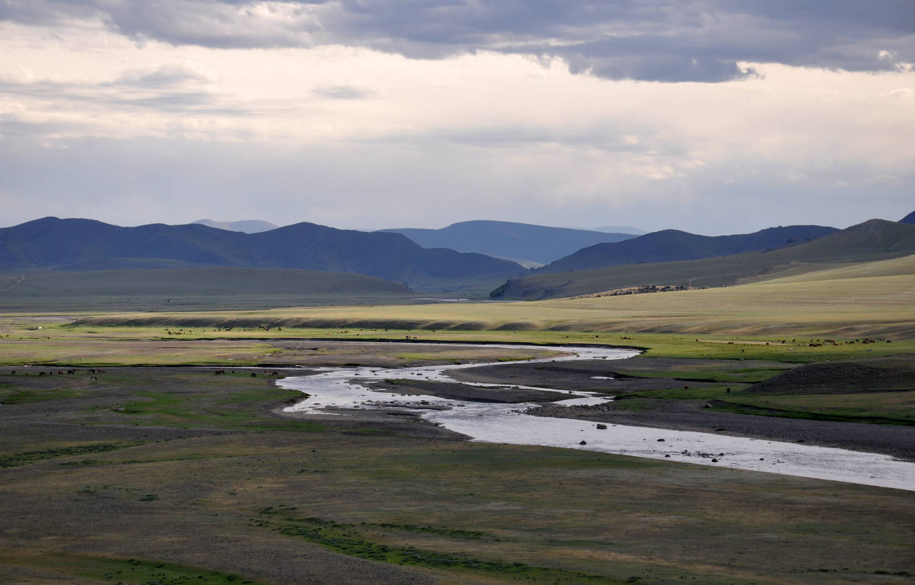 Долина реки Орхон, image of landscape/habitat.