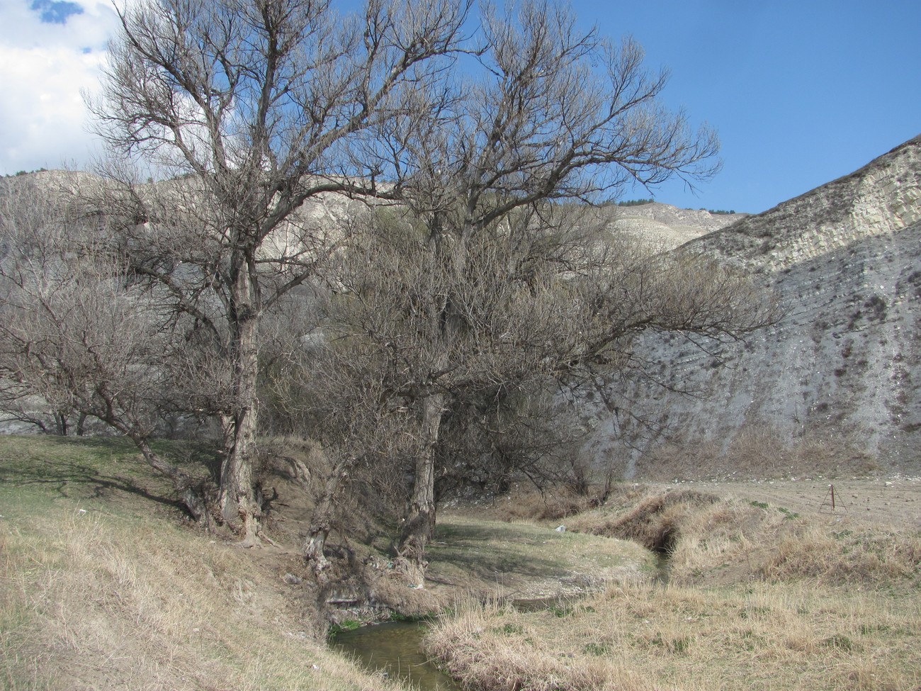 Леваши, image of landscape/habitat.