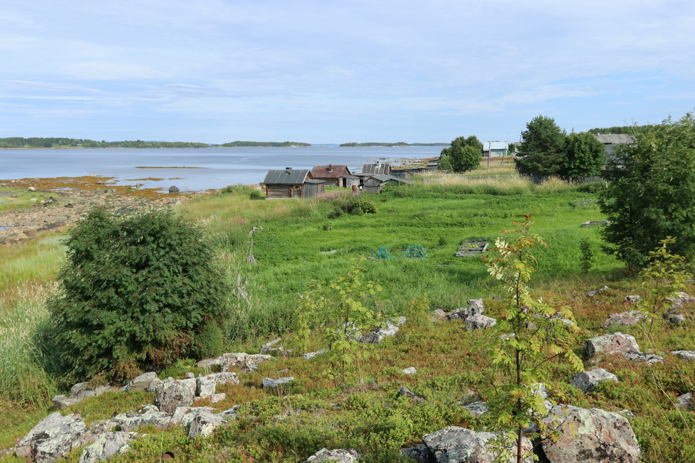 Ковда, image of landscape/habitat.