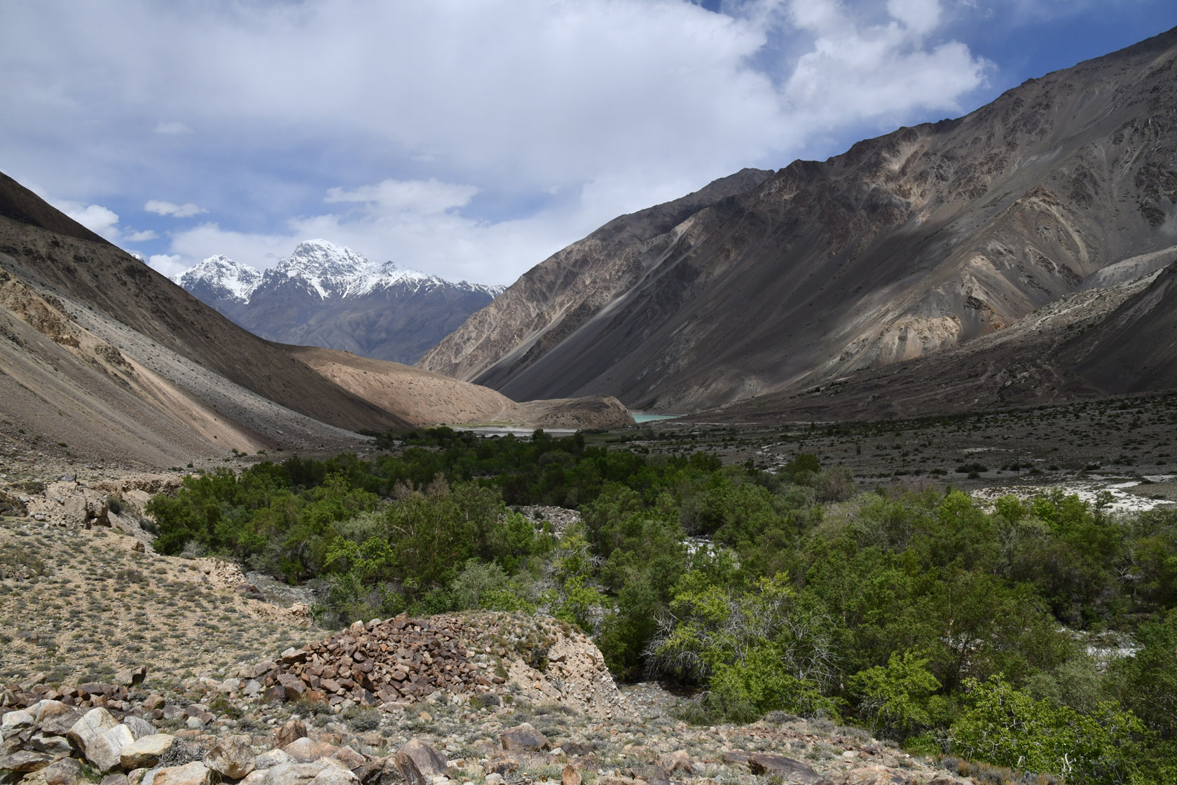 Ирхтский залив, image of landscape/habitat.