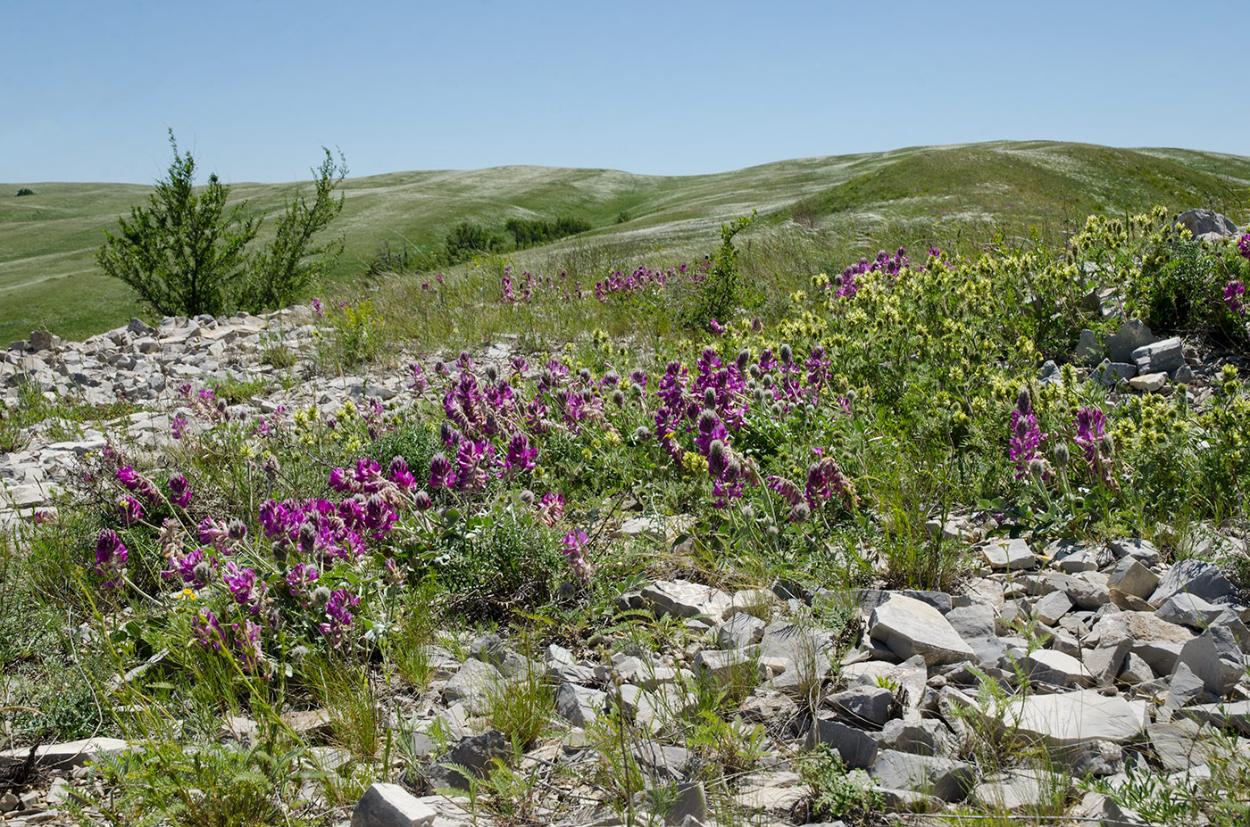 Ногайские горы, image of landscape/habitat.