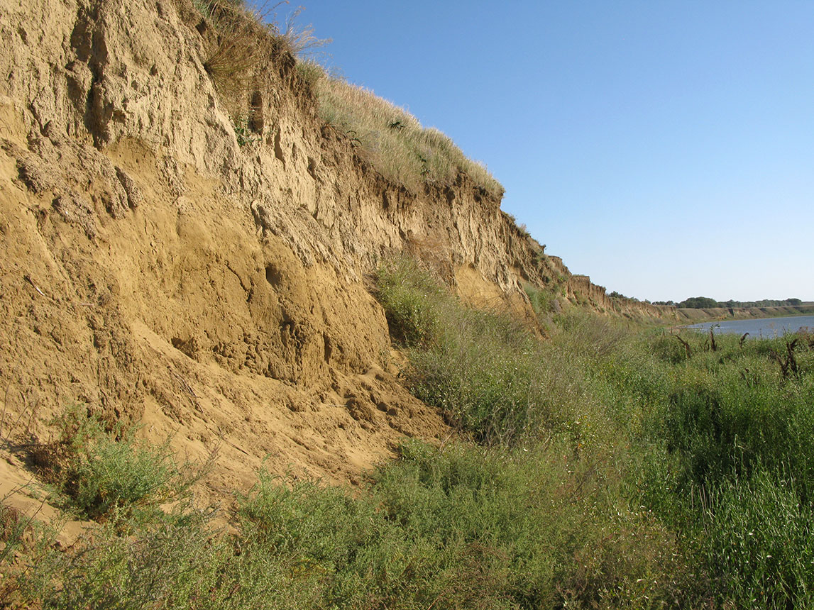 Кизилташский лиман, image of landscape/habitat.