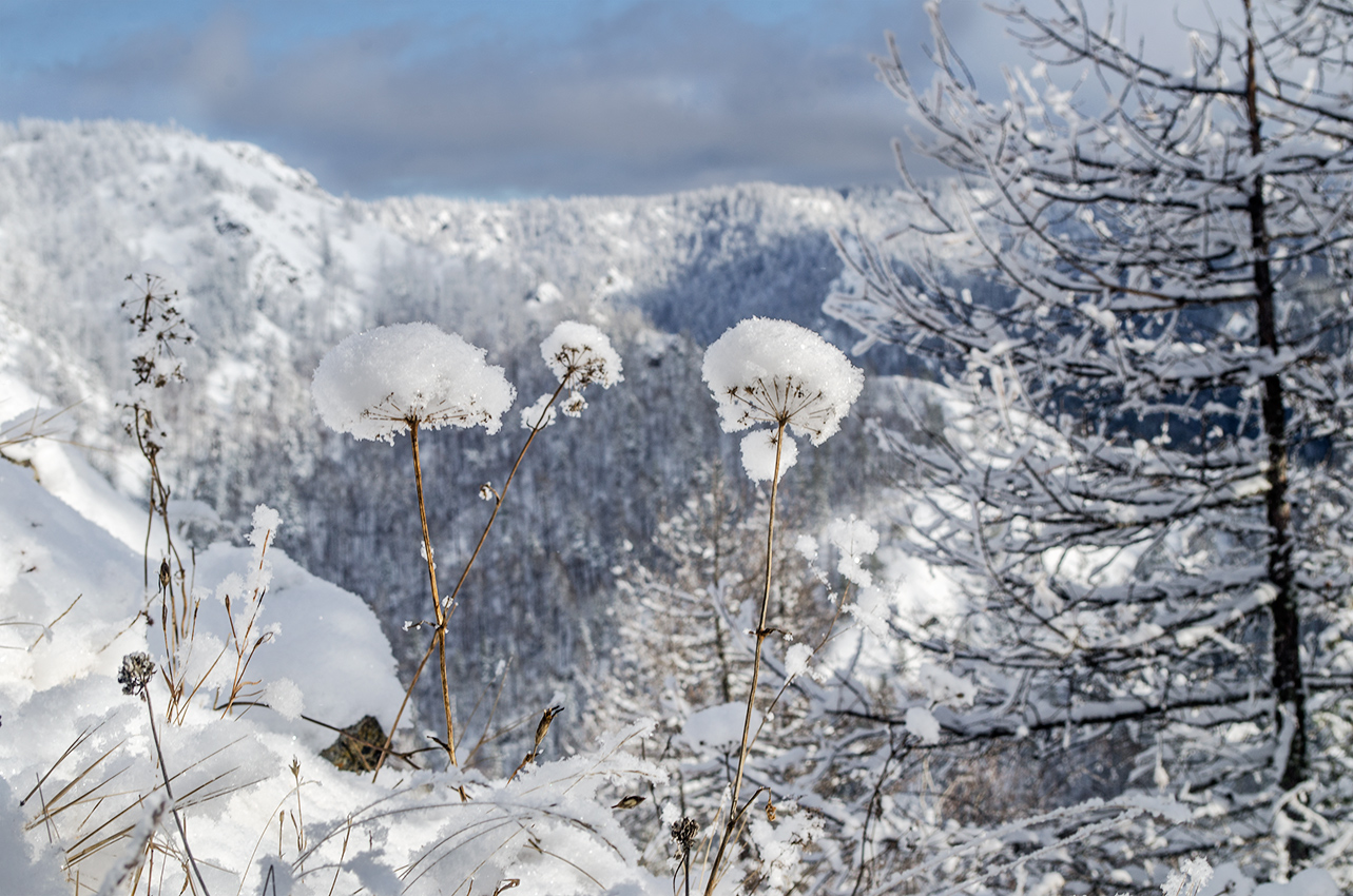 Хребет Суртанды, image of landscape/habitat.