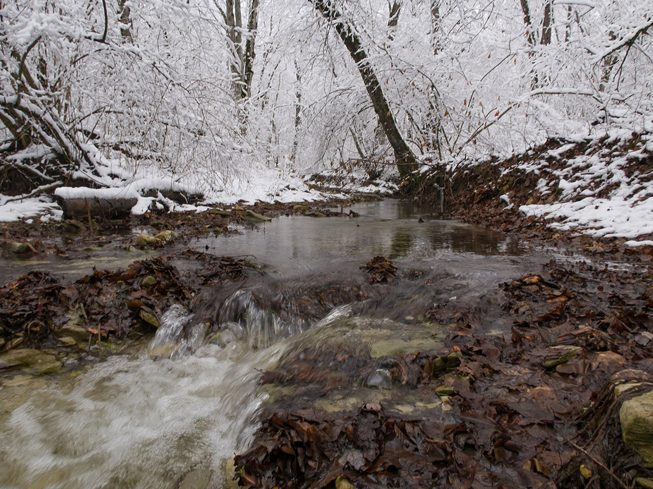 Темрючки, image of landscape/habitat.