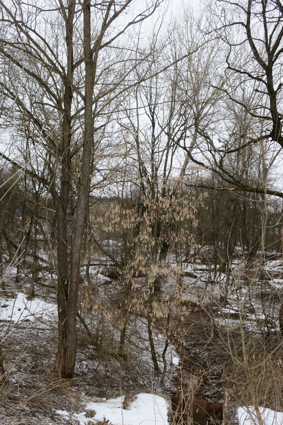 Малоярославец и окрестности, image of landscape/habitat.