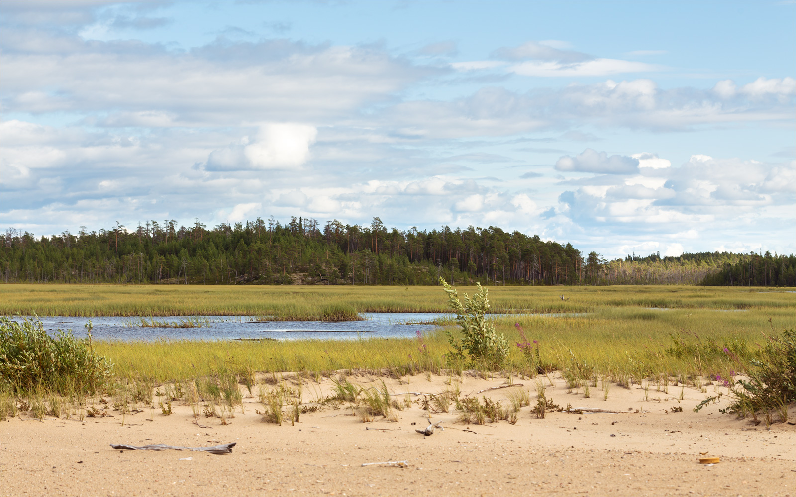 Топозеро, image of landscape/habitat.