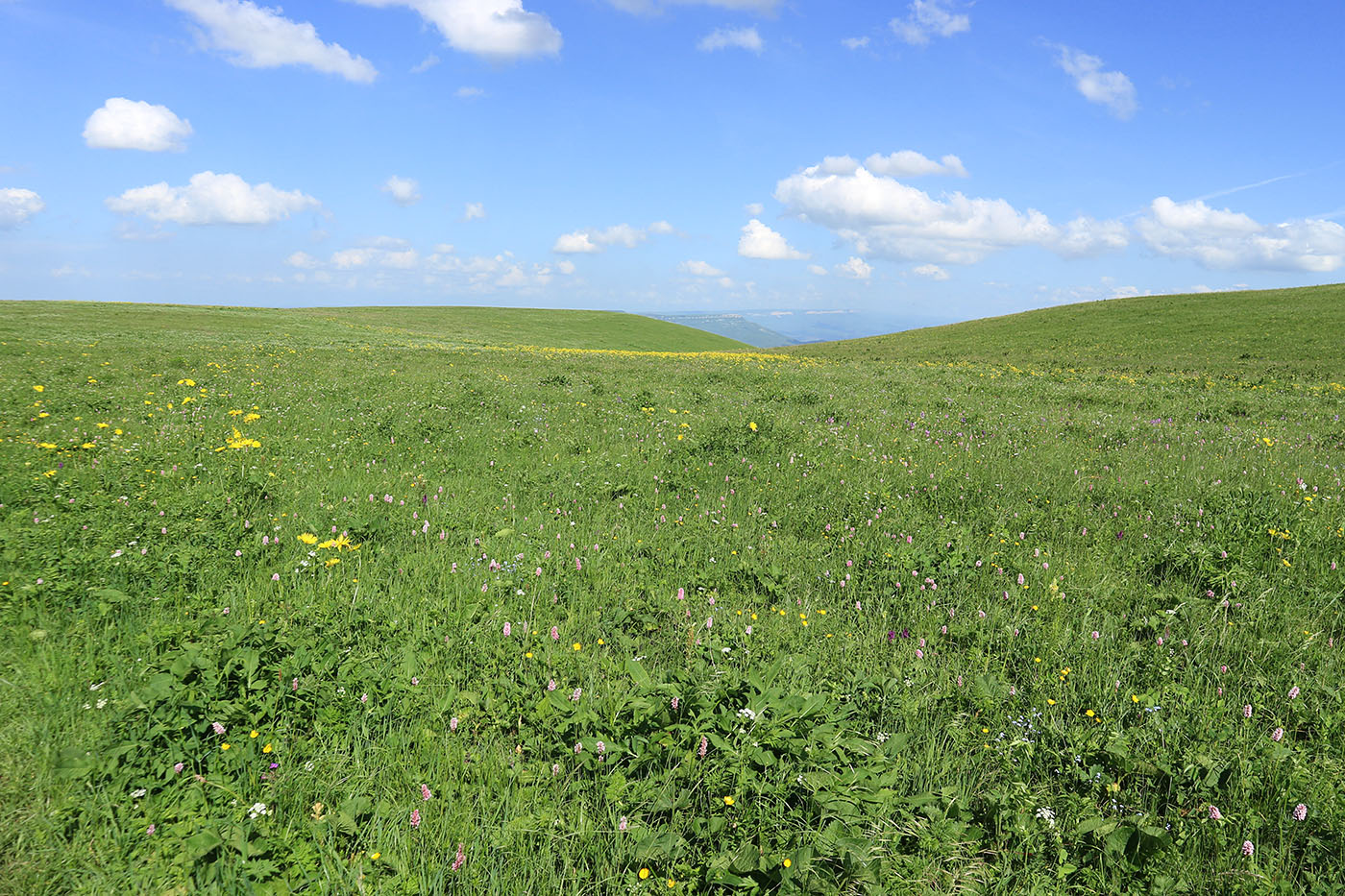 Джисса, image of landscape/habitat.