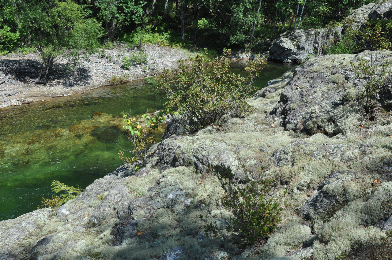 Долина реки Серебрянка, image of landscape/habitat.