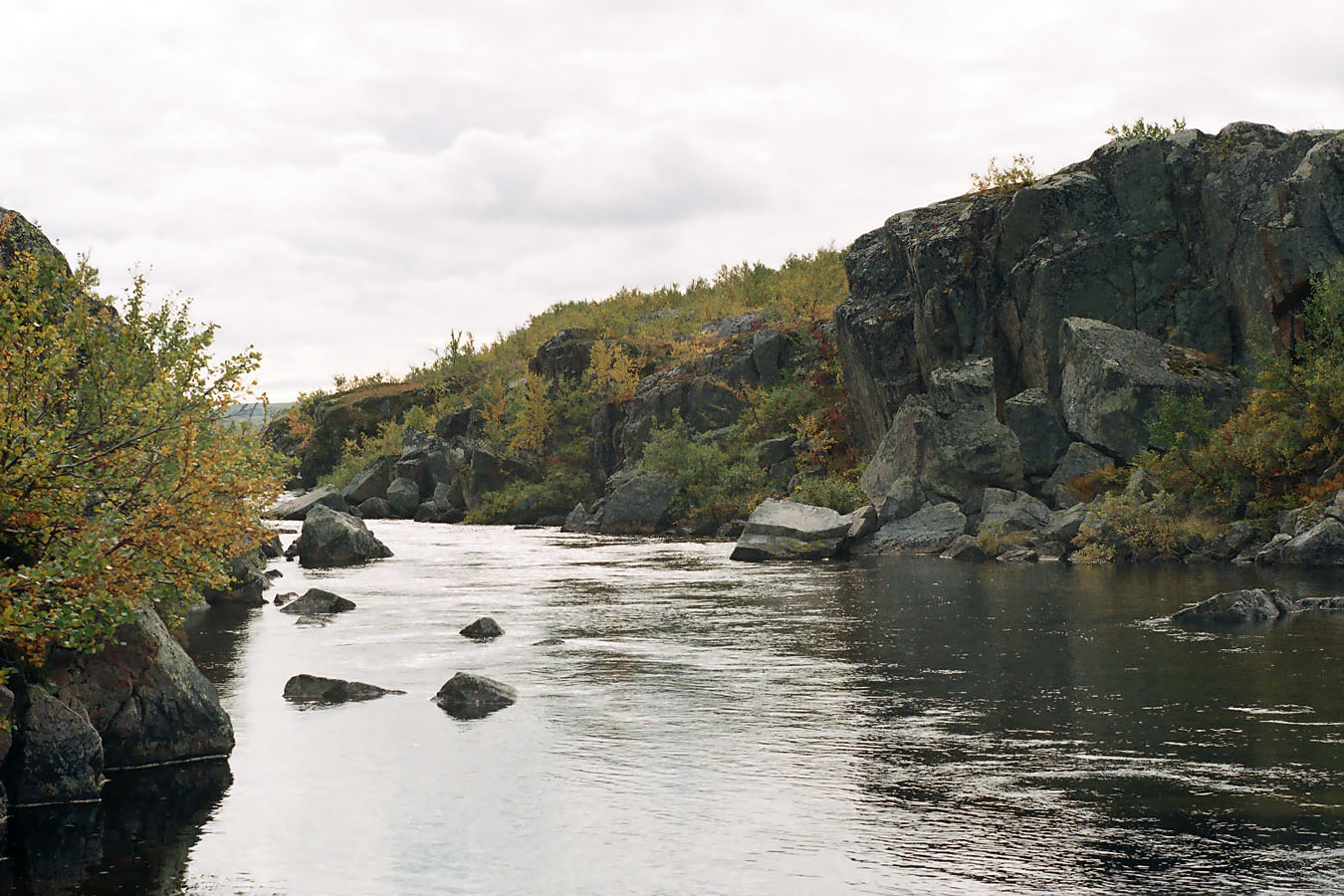 Туманный, image of landscape/habitat.