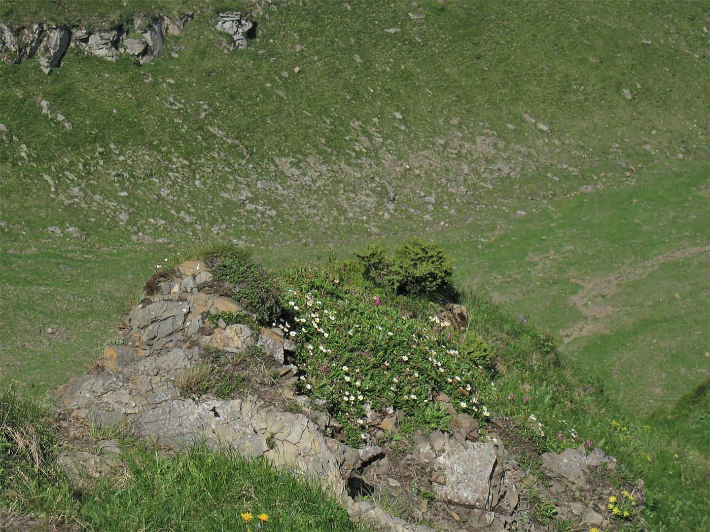 Высокогорья Свидовца, image of landscape/habitat.