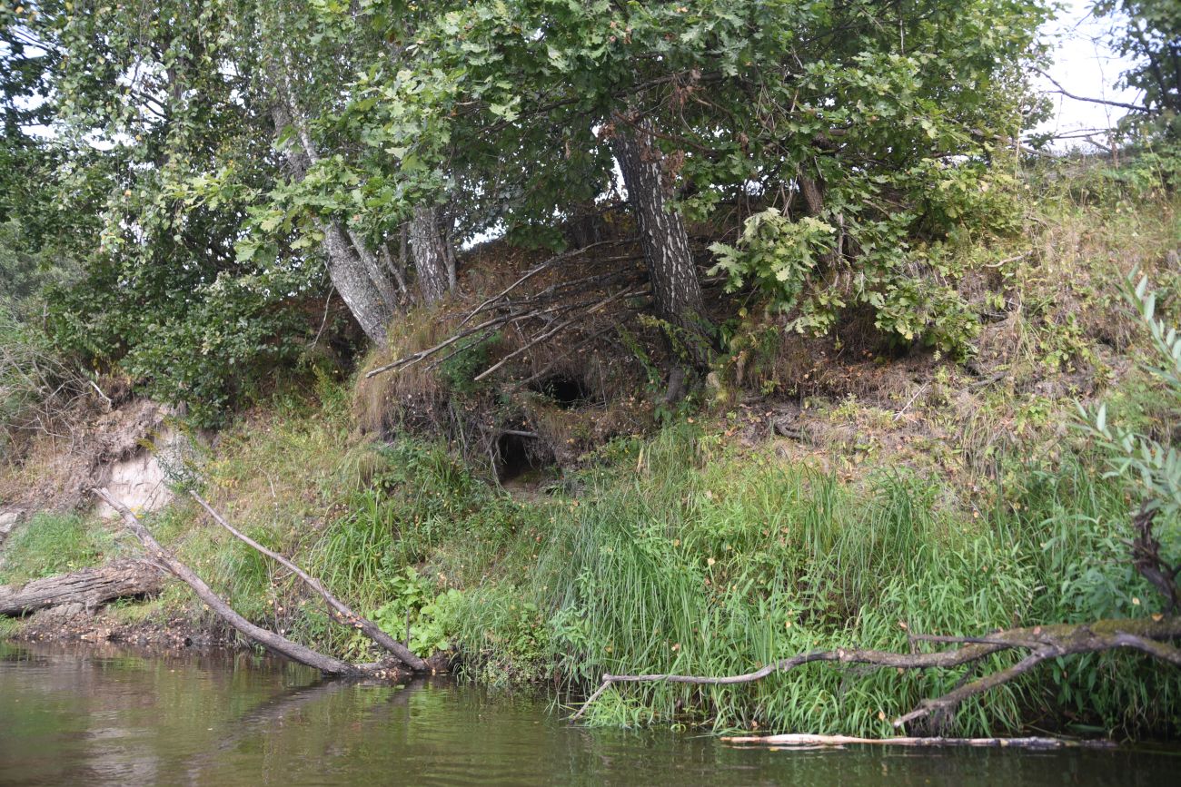 Горицы, image of landscape/habitat.