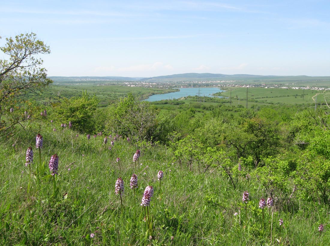 Урочище Аян, image of landscape/habitat.