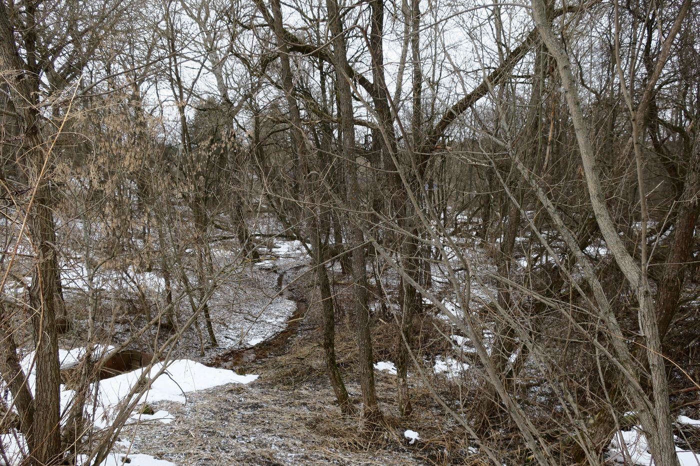 Малоярославец и окрестности, image of landscape/habitat.