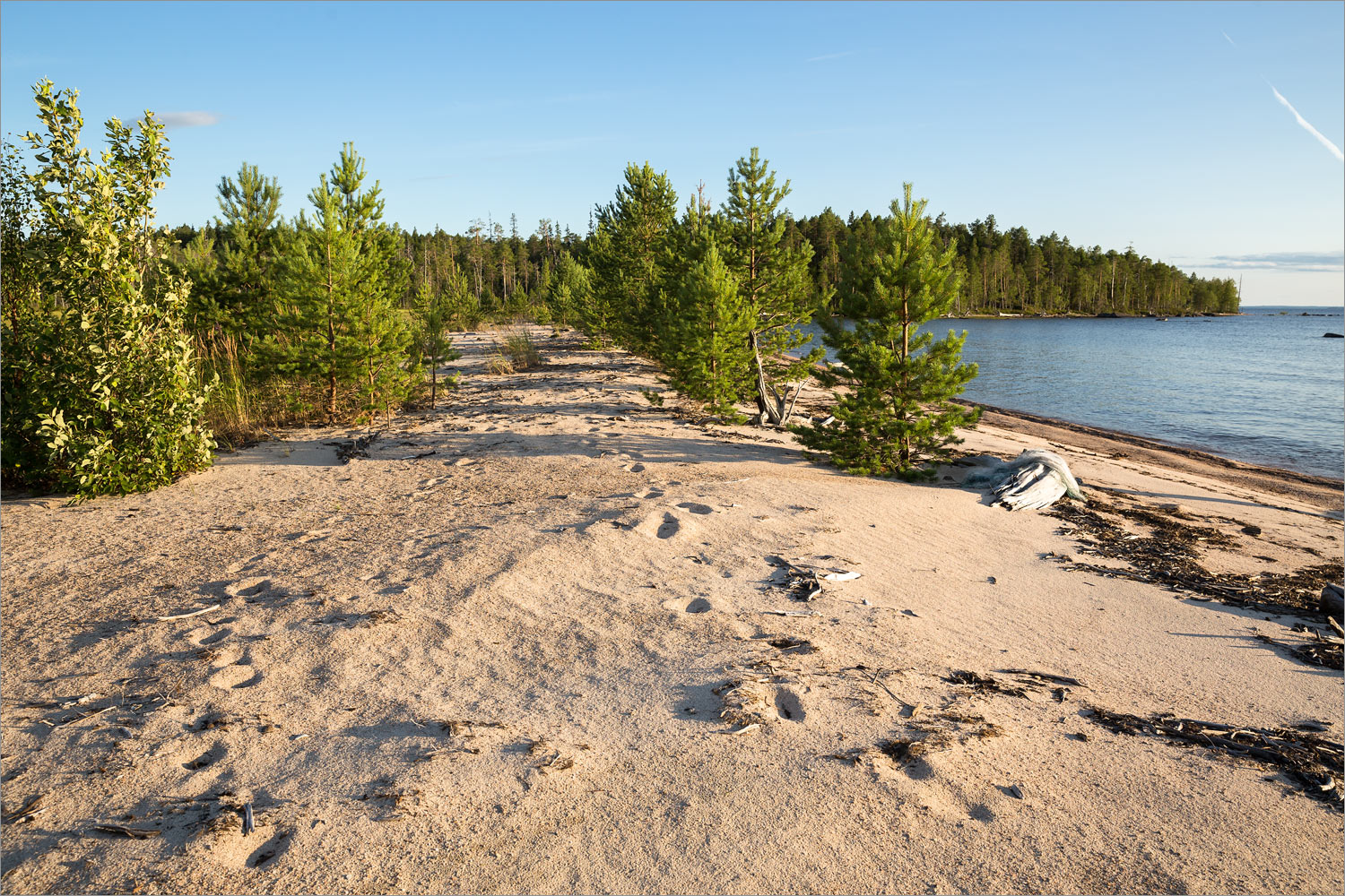 Топозеро, image of landscape/habitat.