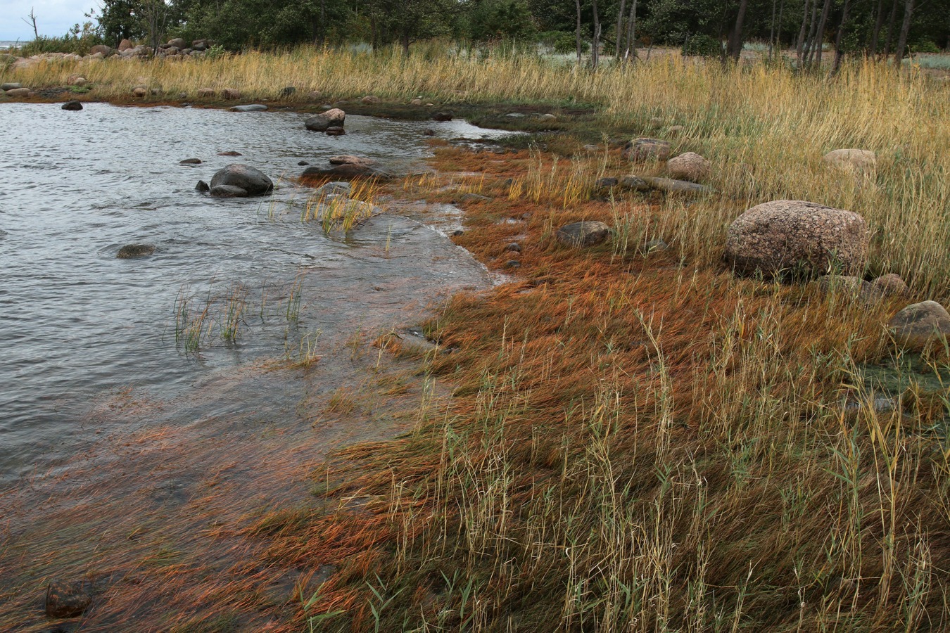 Каравалдай, image of landscape/habitat.