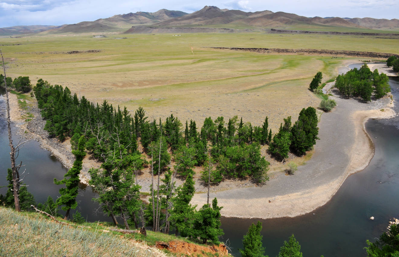 Долина реки Орхон, image of landscape/habitat.