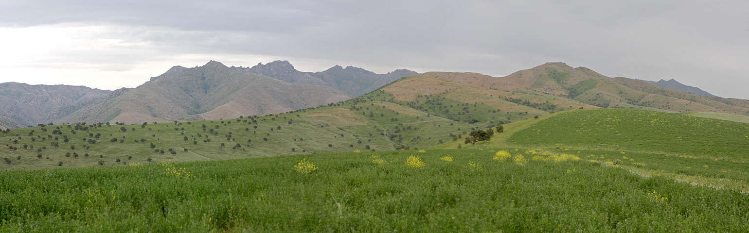 Хребет Боролдайтау, изображение ландшафта.