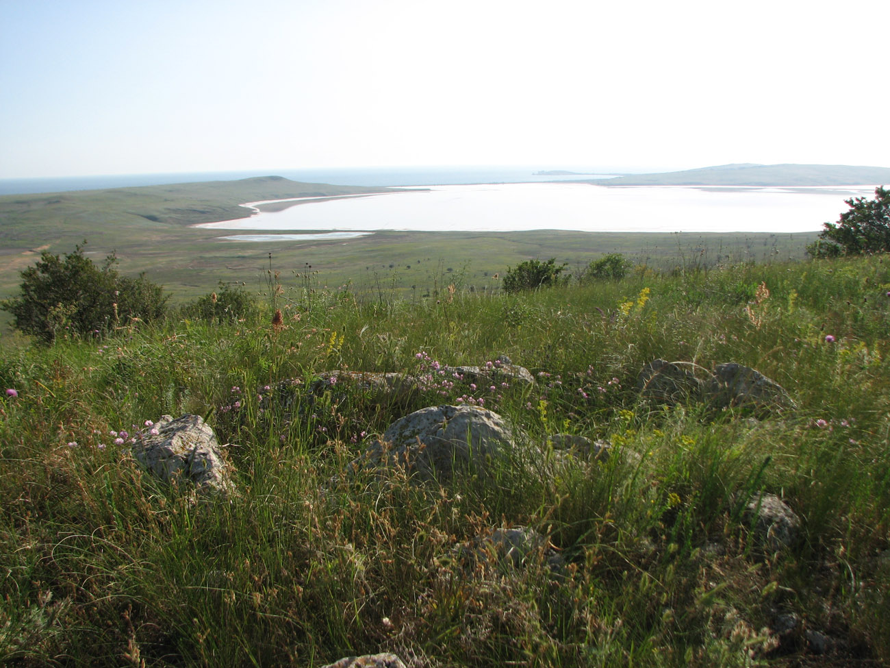 Озеро Чокрак, image of landscape/habitat.