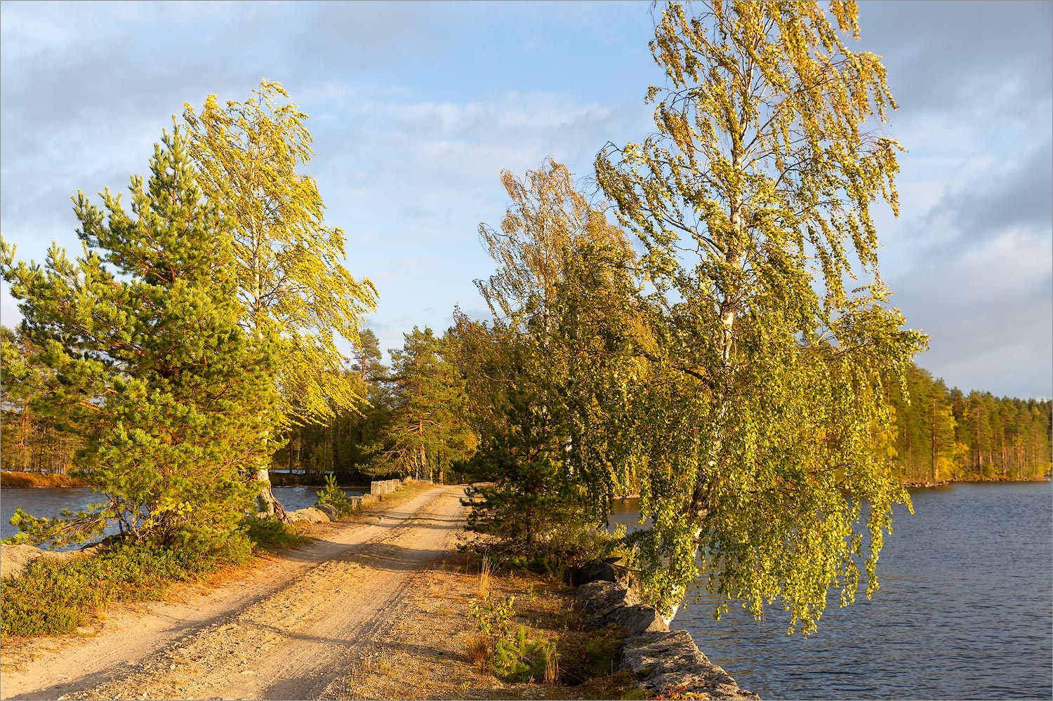 Толвоярви, image of landscape/habitat.