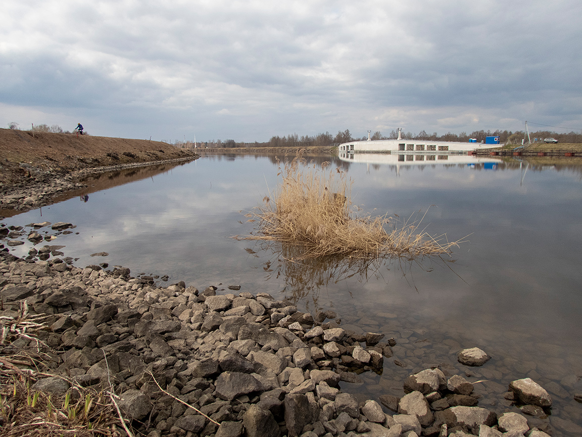 Дубна, image of landscape/habitat.