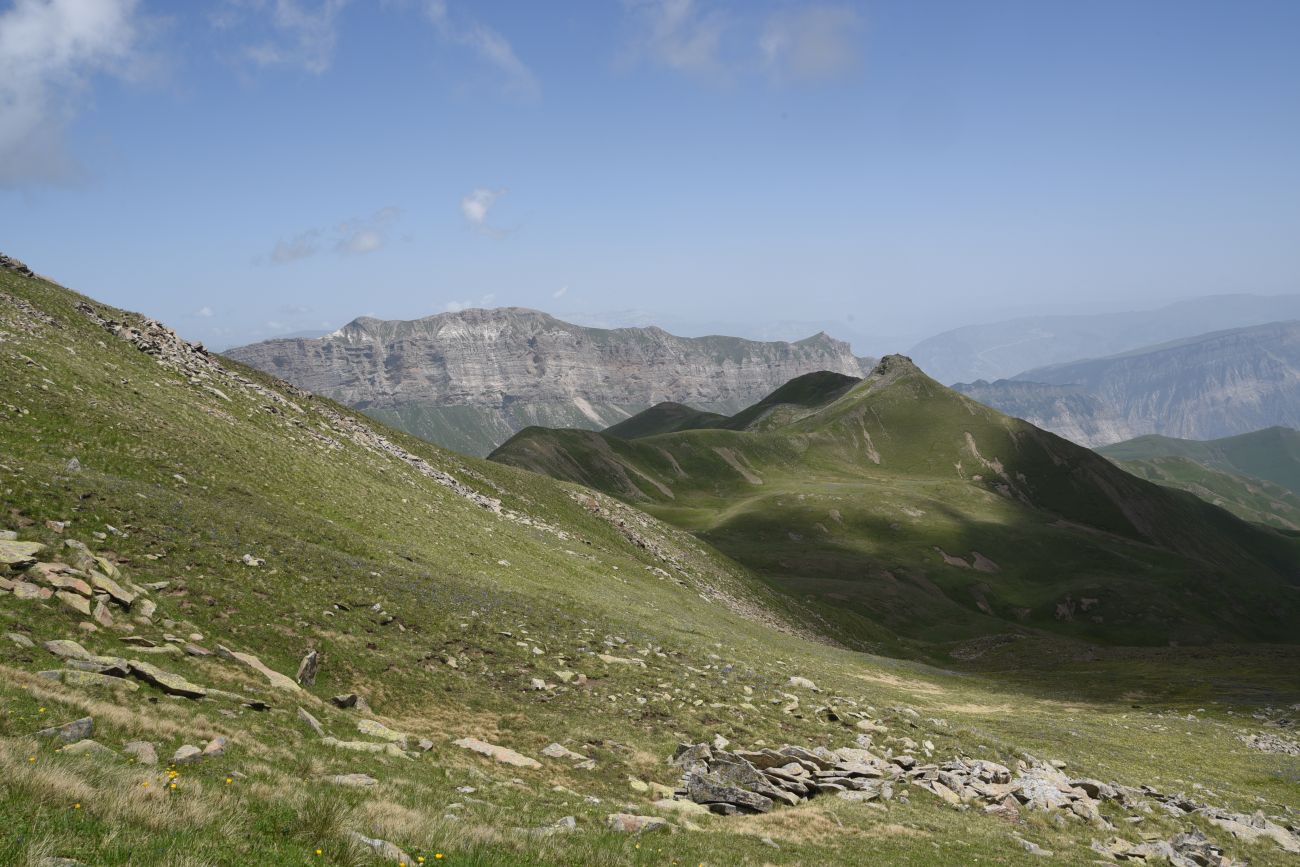 2 км от вершины горы Заинкорт, image of landscape/habitat.