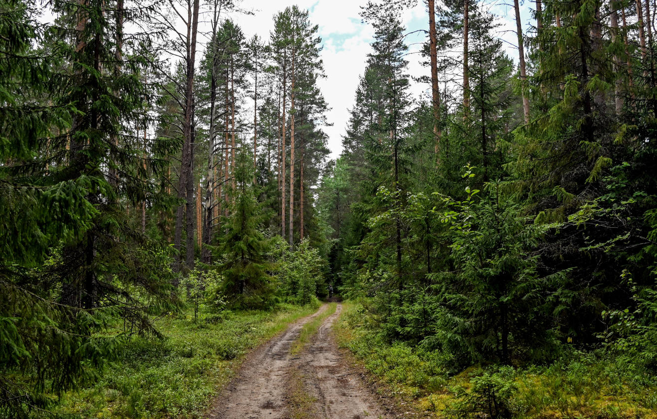 Оларёвская гряда, image of landscape/habitat.