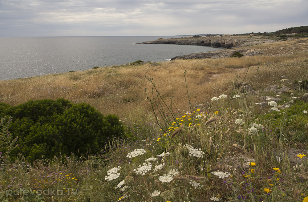 Санта Мария ди Леука, image of landscape/habitat.