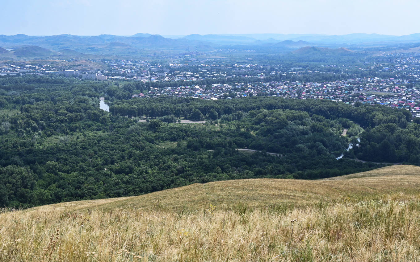 Окрестности города Кувандык, image of landscape/habitat.