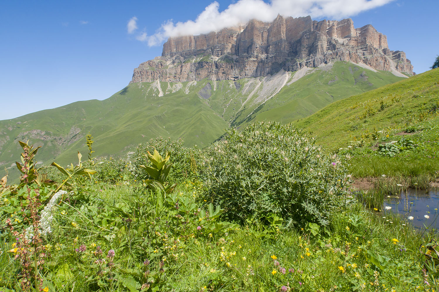 Озеро на склоне Айдарука-Цырт, image of landscape/habitat.