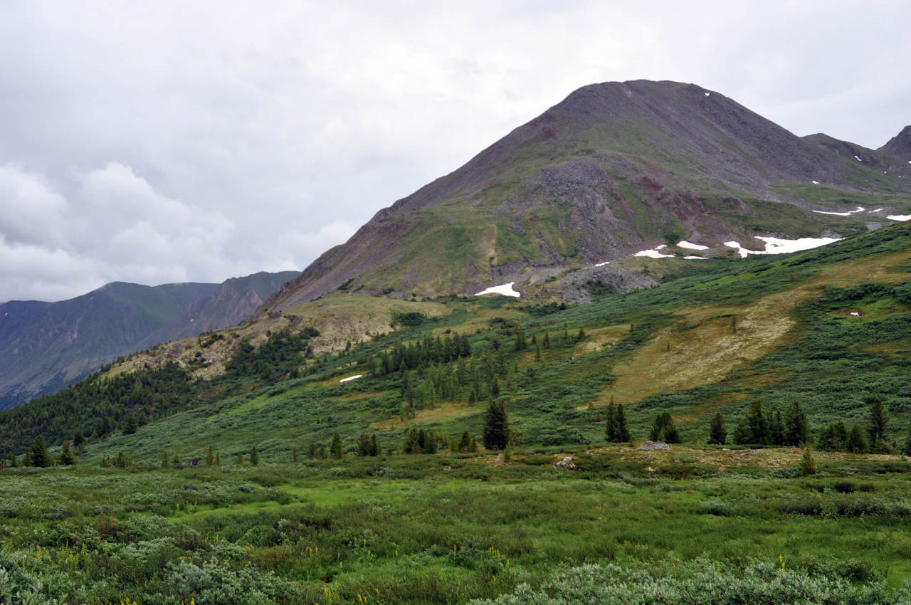 Перевал Чойган-Дабан, image of landscape/habitat.