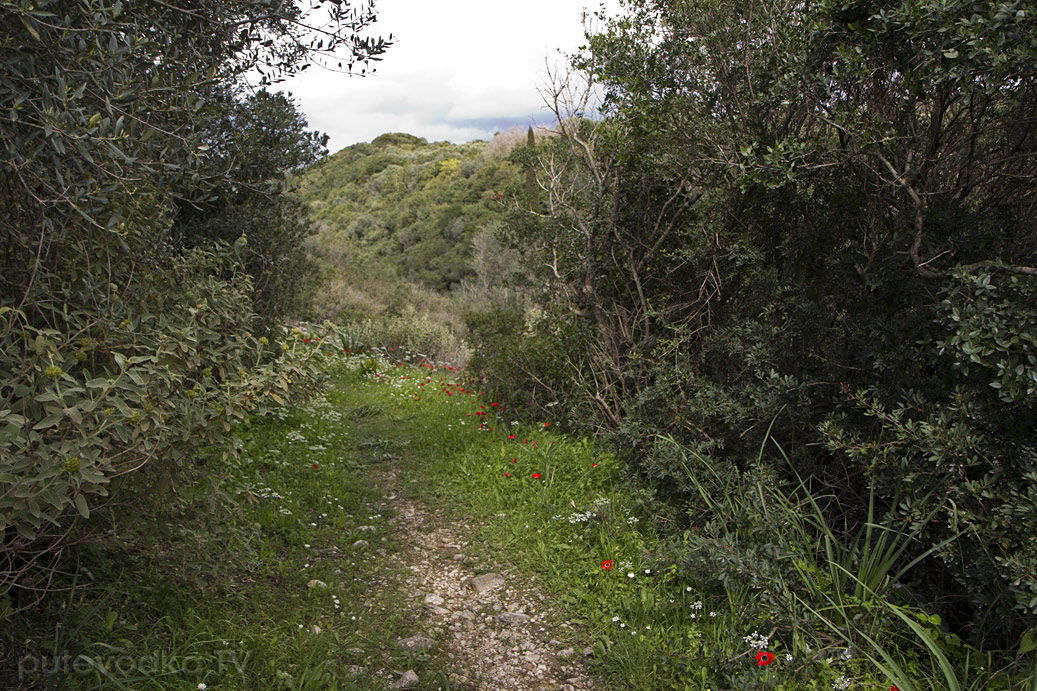 Ущелье Фарангаки Перистерия, image of landscape/habitat.