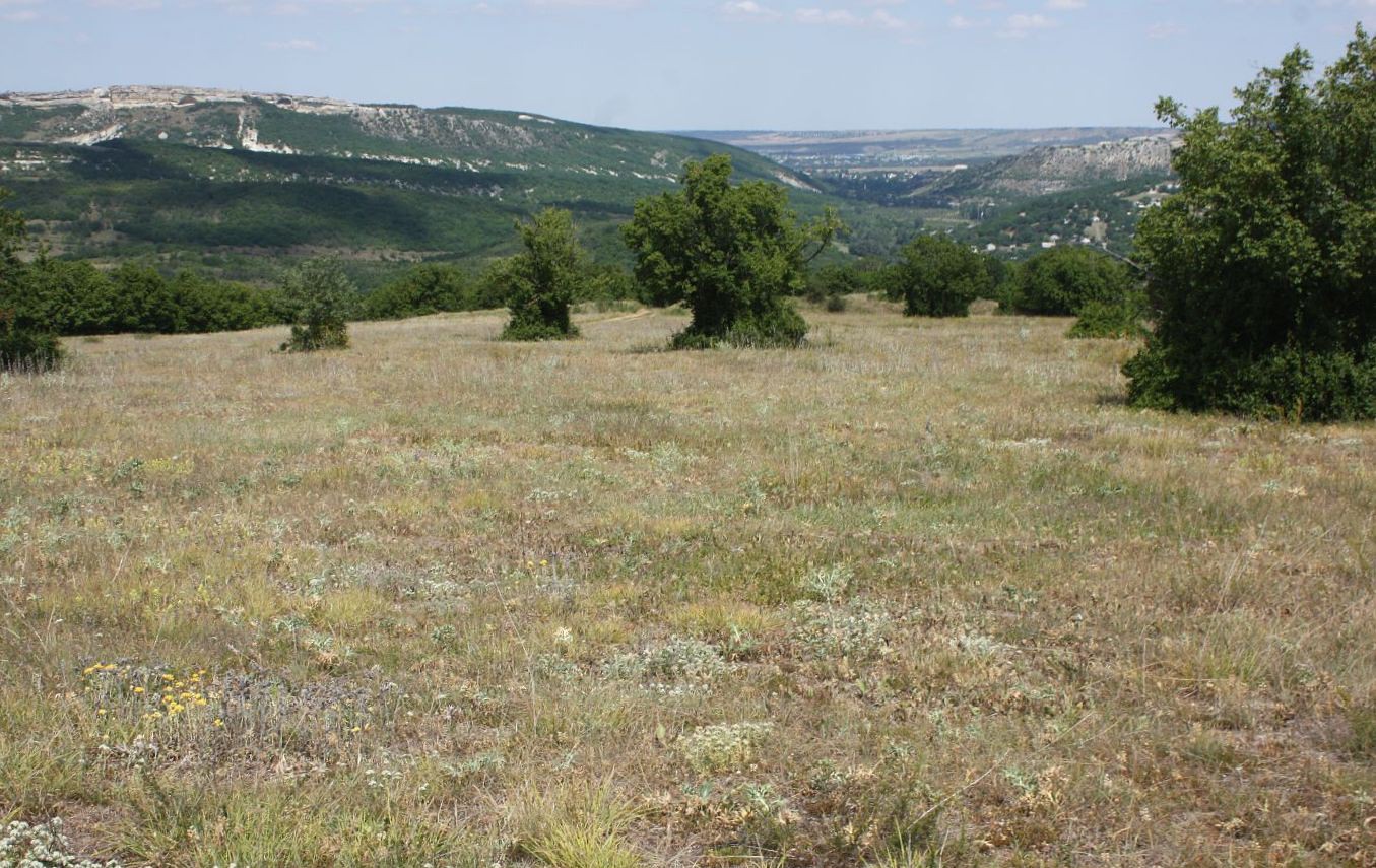 Крымский геологический полигон, image of landscape/habitat.