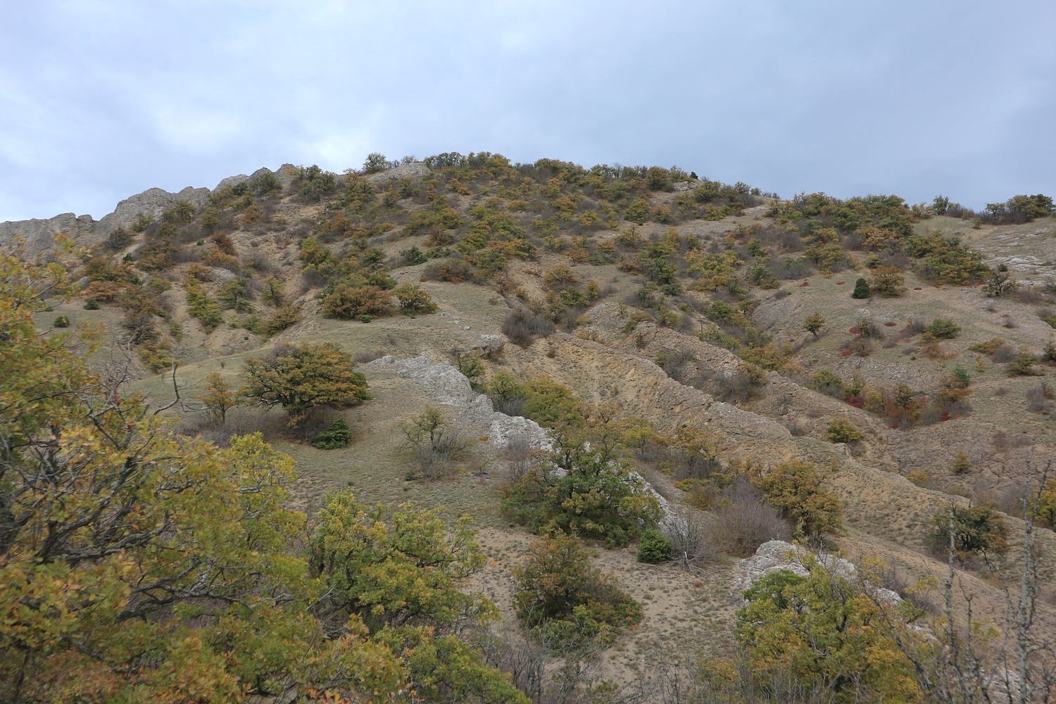 Эчкидаг, image of landscape/habitat.