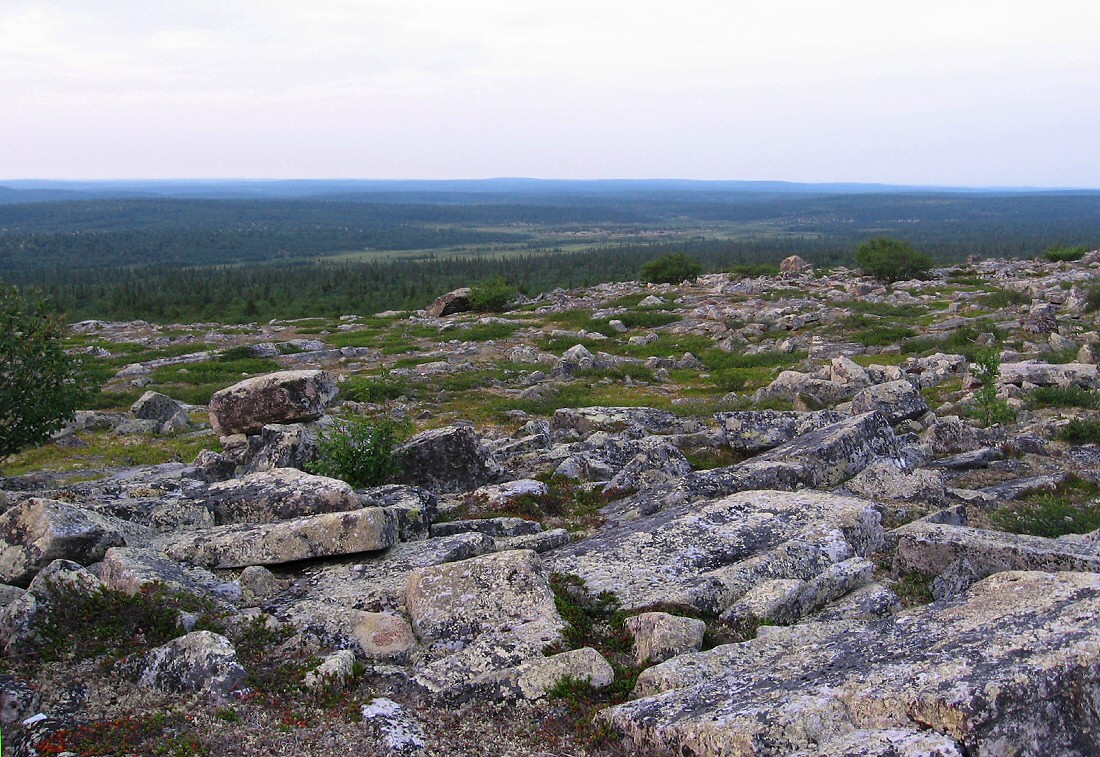 Кабанрека, image of landscape/habitat.