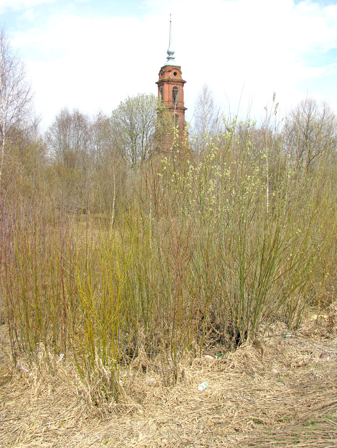 Ильд в Некоузе, image of landscape/habitat.