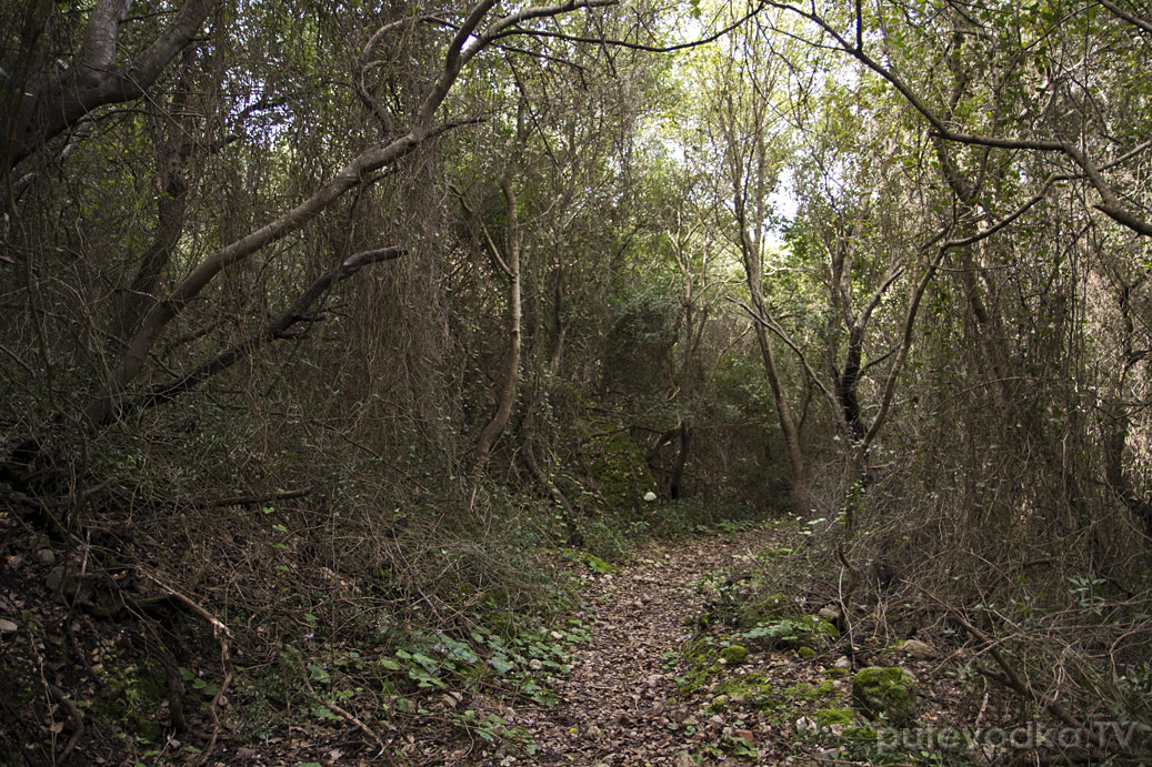 Ущелье Фарангаки Перистерия, image of landscape/habitat.