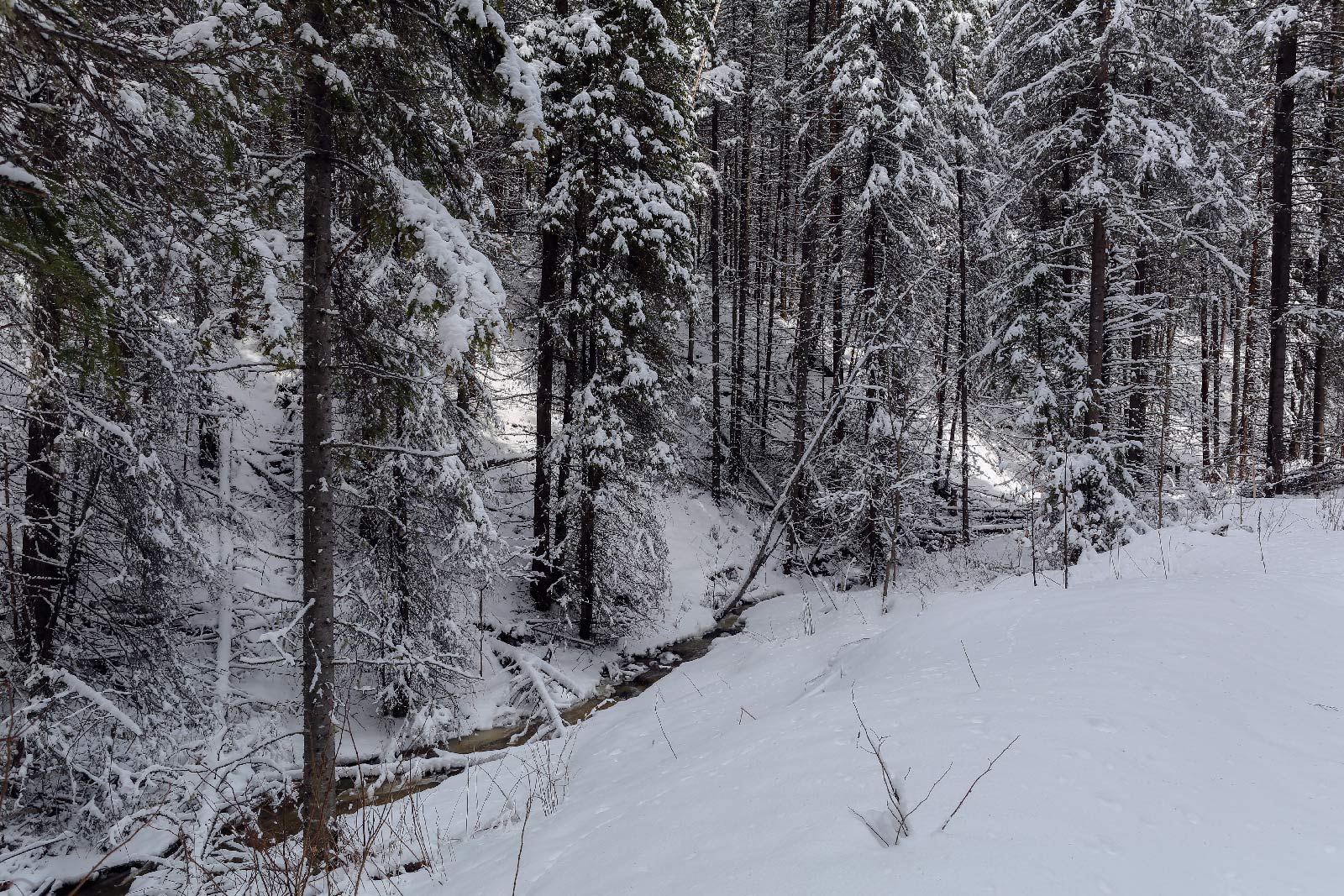 Кын и его окрестности, image of landscape/habitat.