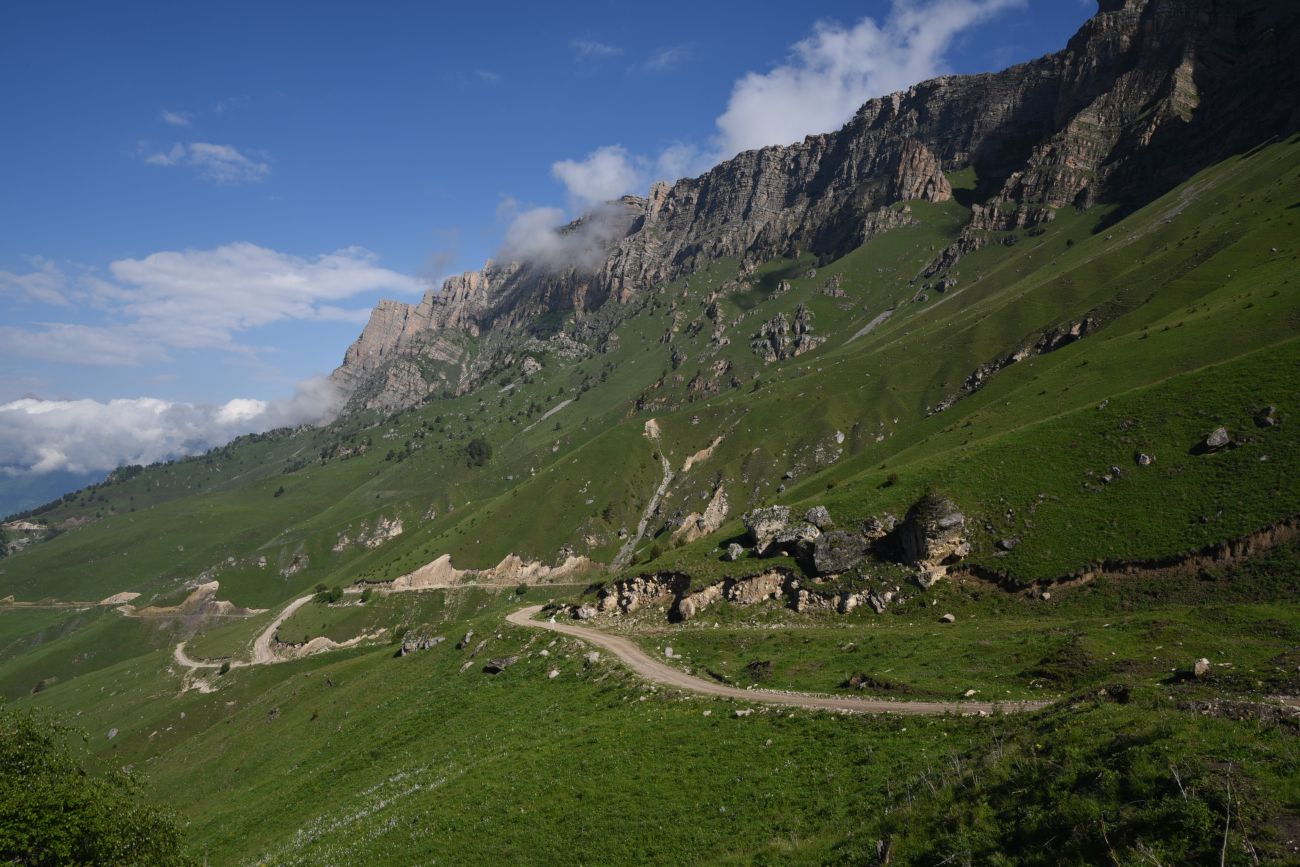 Окрестности урочища Дакхала, image of landscape/habitat.