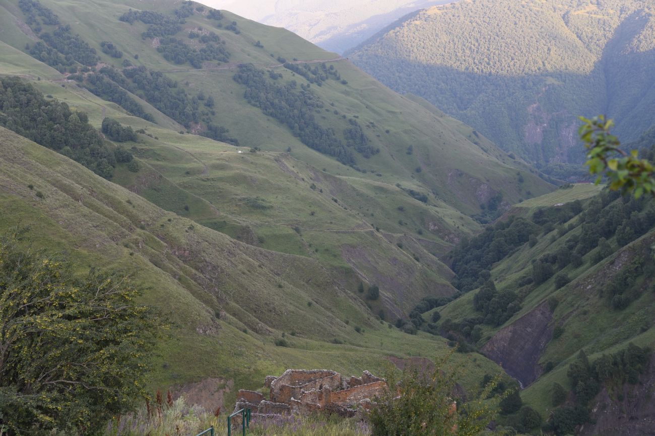 Долина реки Шикаройакх, image of landscape/habitat.