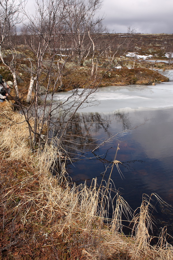 Могильный Ров, image of landscape/habitat.