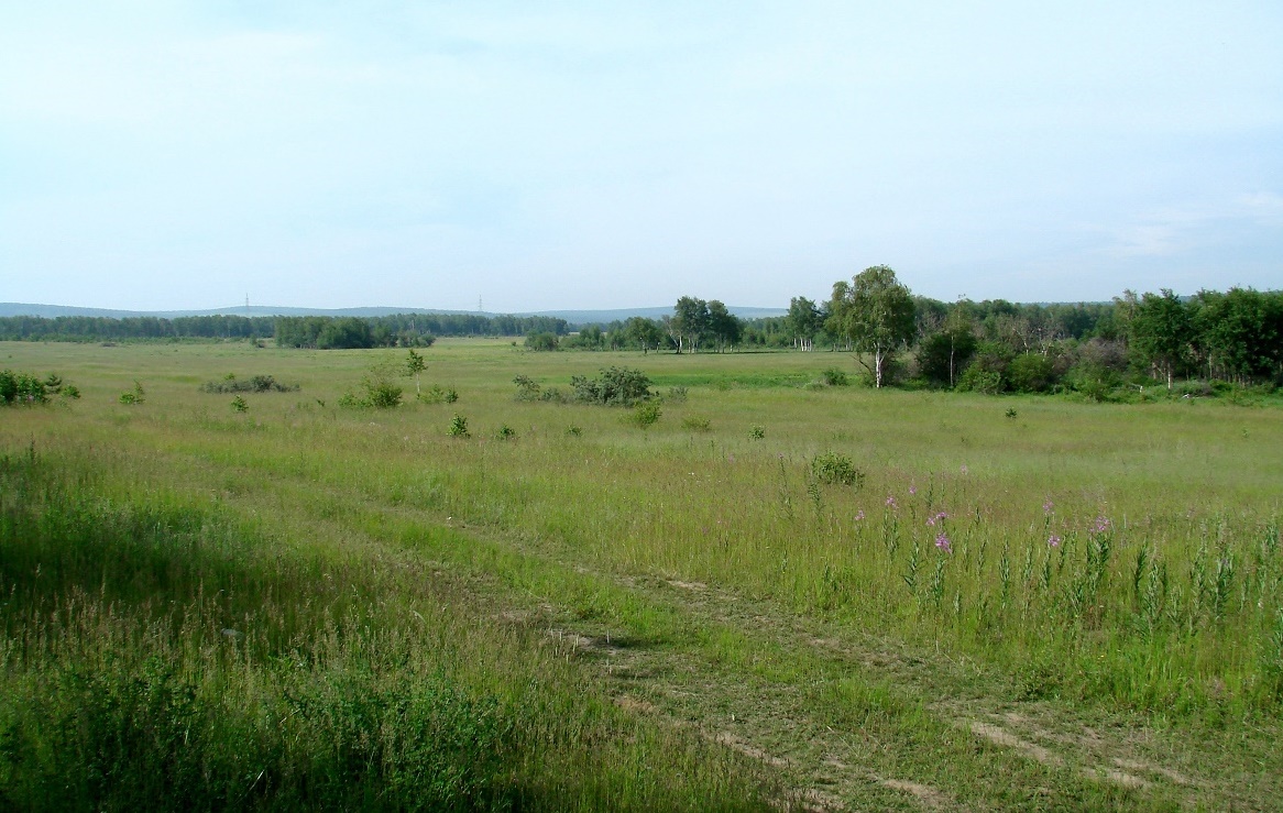 Зуй, image of landscape/habitat.