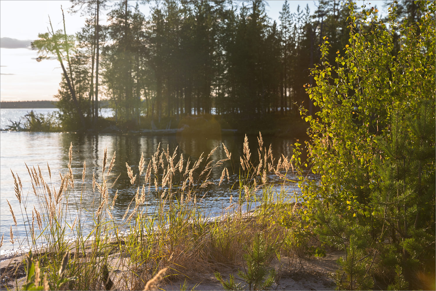 Топозеро, image of landscape/habitat.