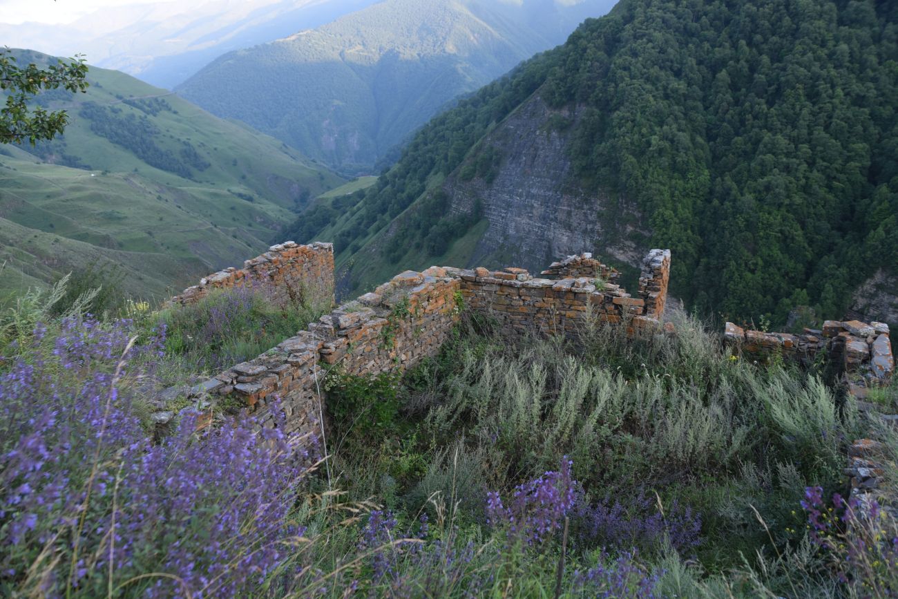 Шикарой и окрестности, image of landscape/habitat.