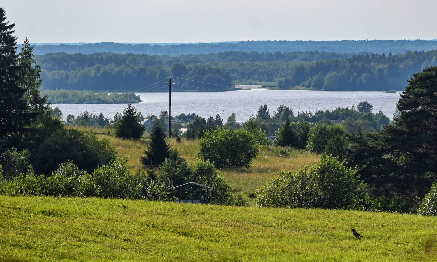 Горицы, image of landscape/habitat.